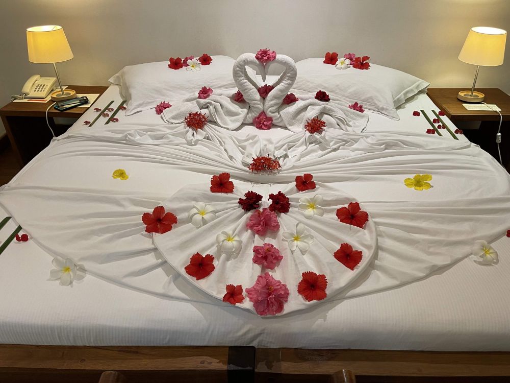 Club Room, Gangehi Island Resort 5*