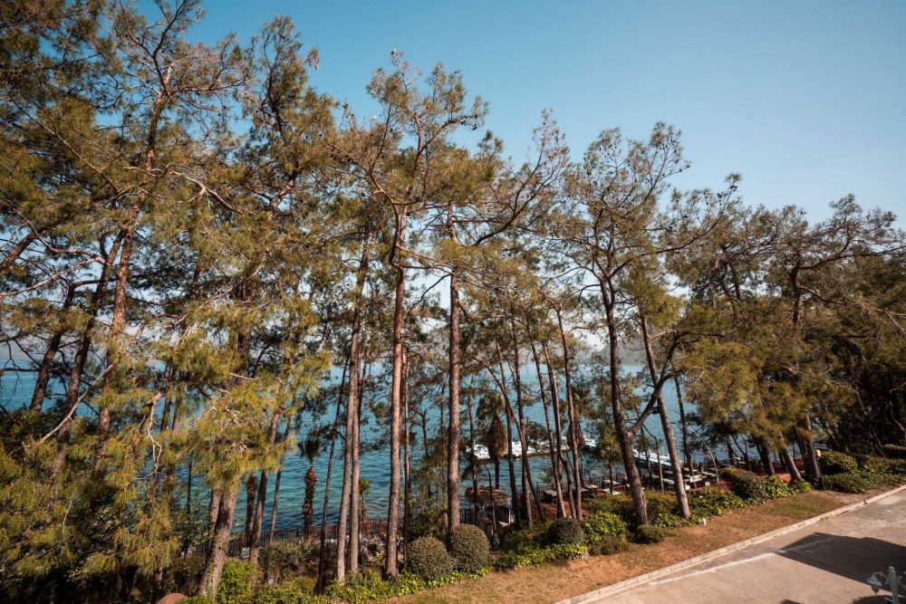 Superior Family Room Garden View, Labranda Mares Marmaris (ex. Grand Yazici Mares) 5*