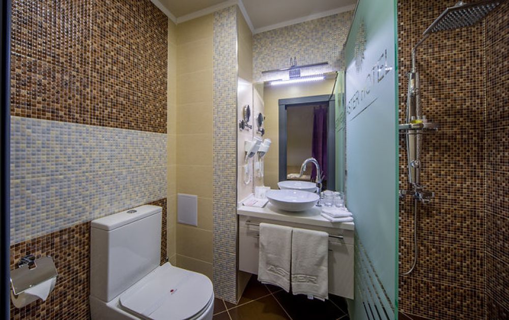 Superior King/Twin Room, Aster Hotel Group 4*