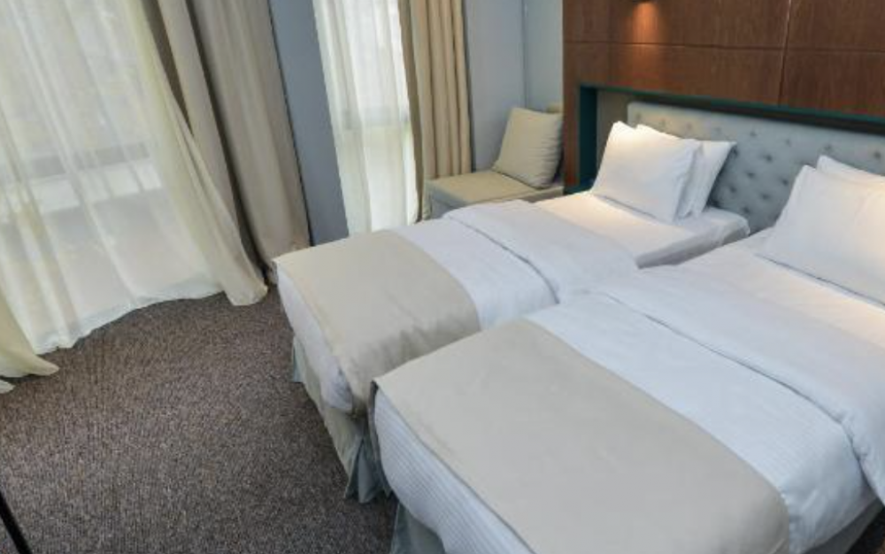 Deluxe, River View Hotel Tbilisi (ex. Just Inn Tbilisi) 4*