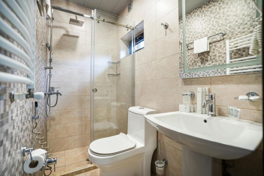 Standard/ Standard TRPL, 1 Hotel Borjomi (ex.Milano Palace) 4*