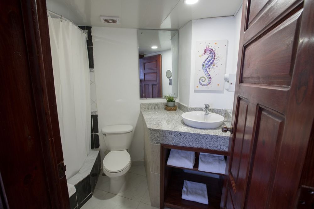 Double Room, whala!bávaro 3*