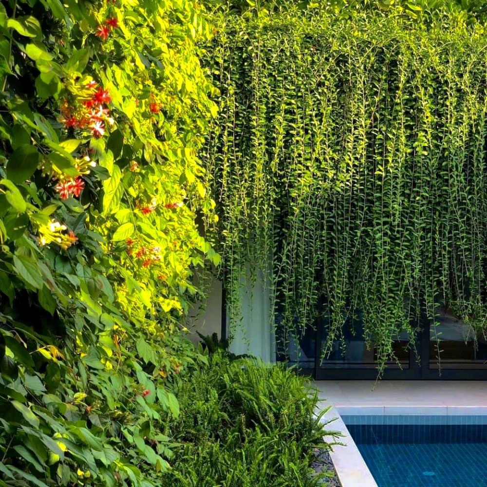 Villa 1 Bedroom /2 Bedroom, Tui Blue Villa Retreat Phu Quoc 5*